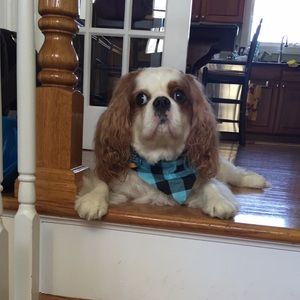 Meet your Posher, Olivia